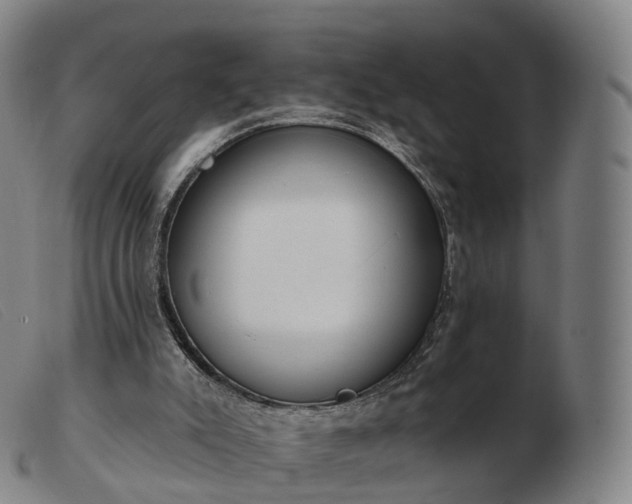 X0000103460007200809191822