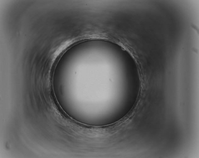 X0000103460008200809191822