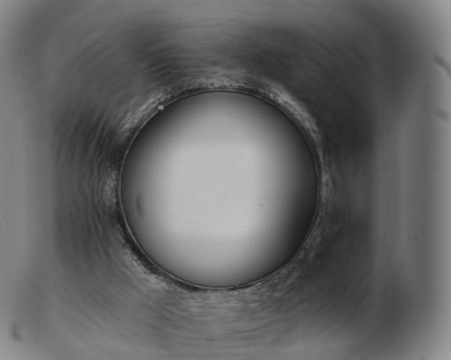 X0000103460009200809191822