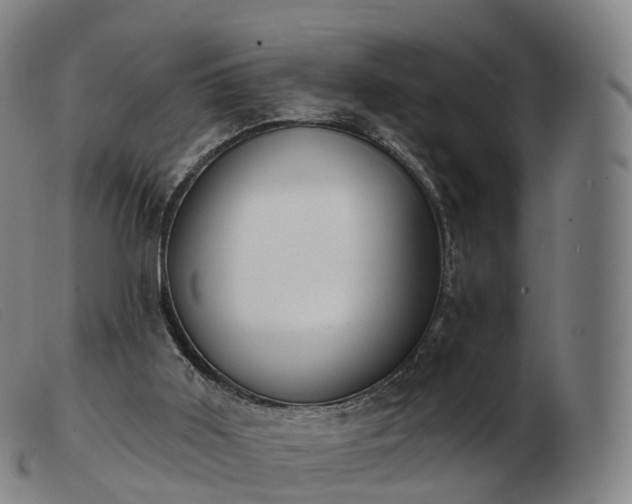 X0000103460011200809191822