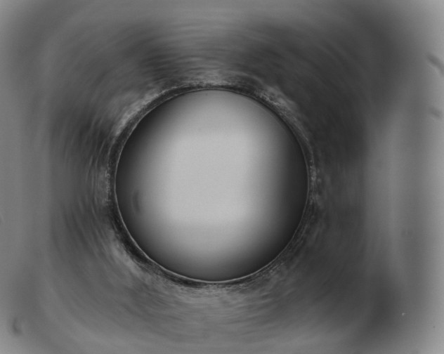 X0000103460012200809191822