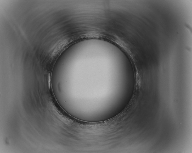 X0000103460013200809191822