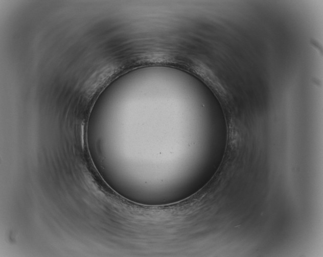 X0000103460014200809191822