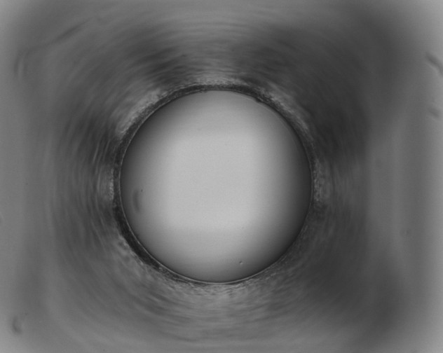 X0000103460015200809191822