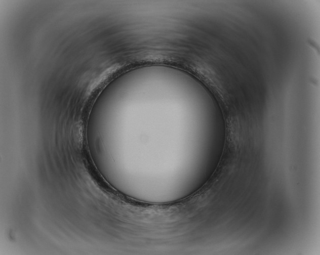 X0000103460016200809191822