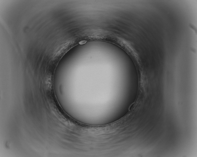 X0000103460017200809191822