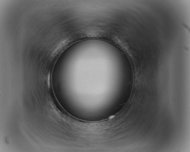 X0000103460019200809191822