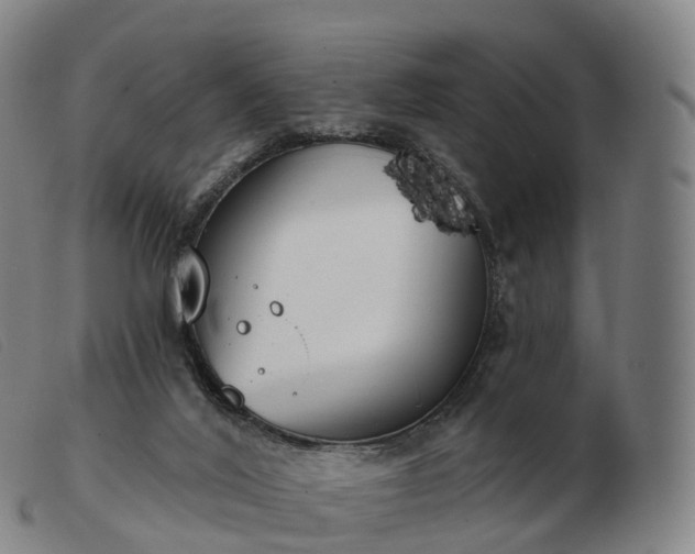 X0000103460020200809191822