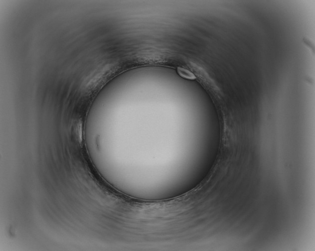 X0000103460021200809191822