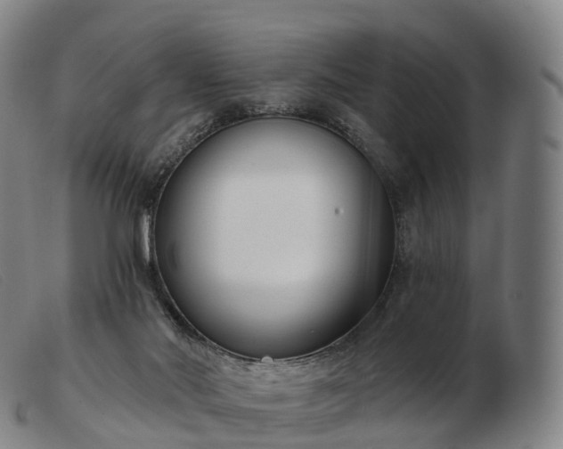 X0000103460022200809191822