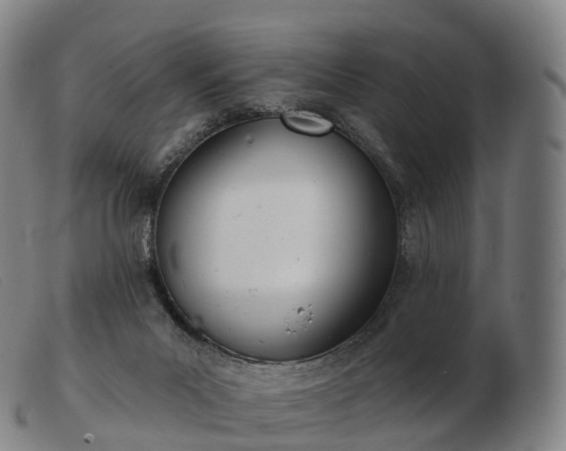 X0000103460023200809191822