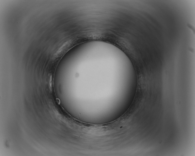 X0000103460024200809191822