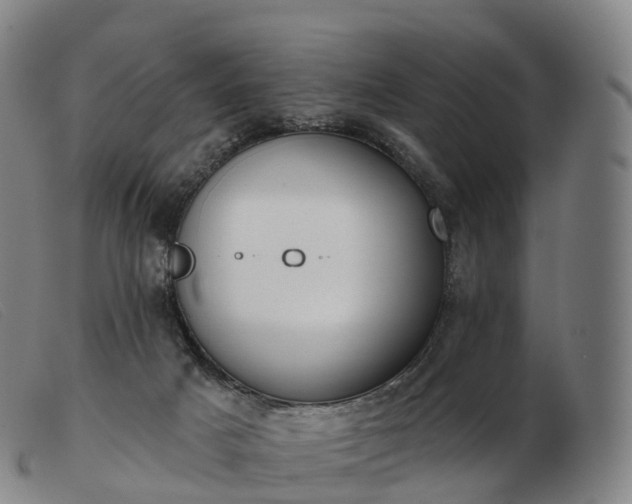 X0000103460025200809191822