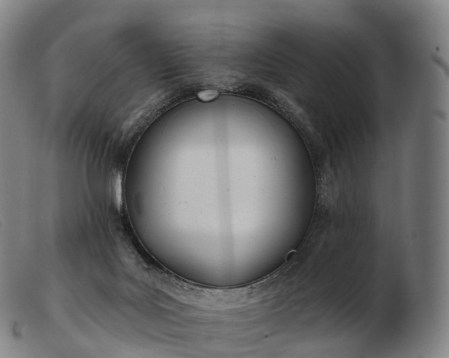 X0000103460027200809191822