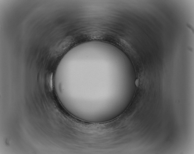 X0000103460028200809191822