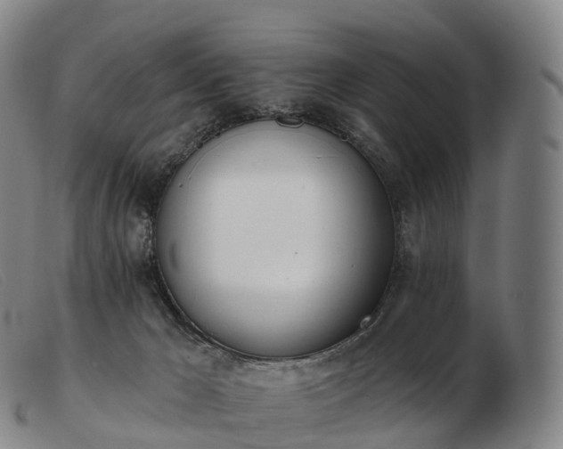 X0000103460029200809191822