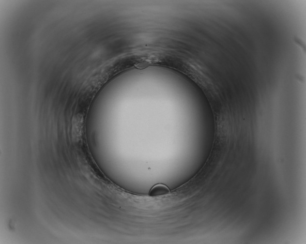 X0000103460030200809191822