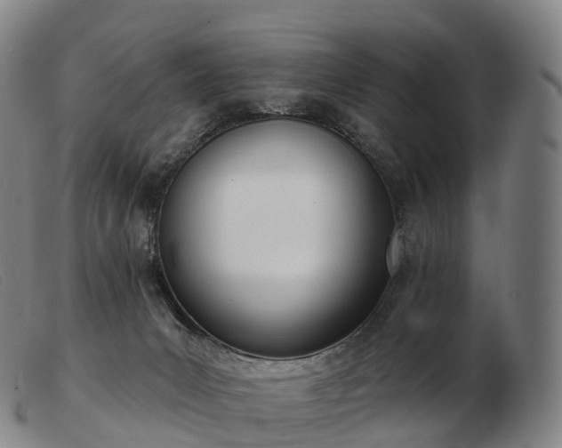 X0000103460031200809191822