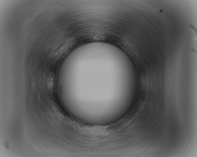 X0000103460032200809191822