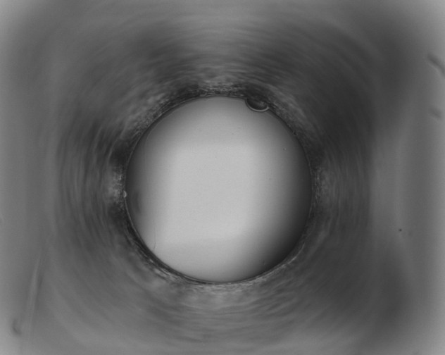 X0000103460033200809191822