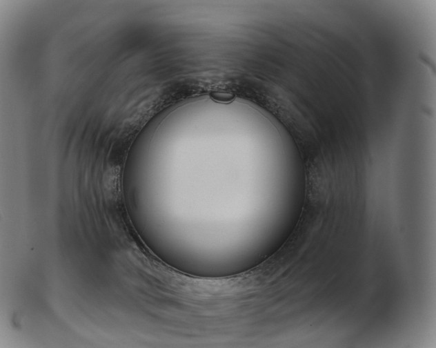 X0000103460034200809191822