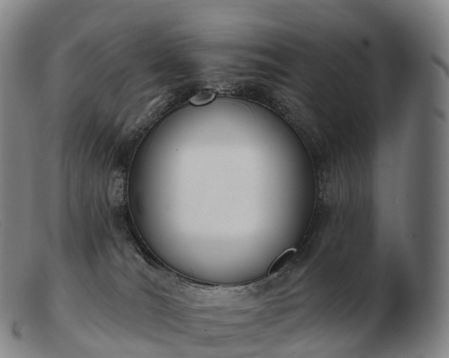 X0000103460036200809191822