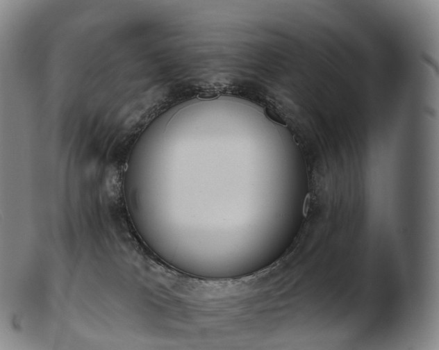 X0000103460037200809191822