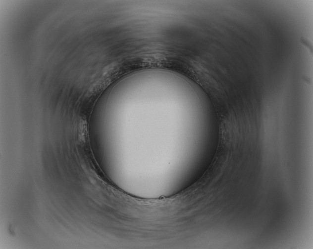 X0000103460038200809191822