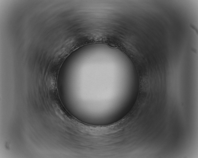 X0000103460039200809191822