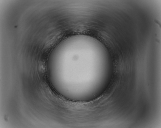 X0000103460040200809191822