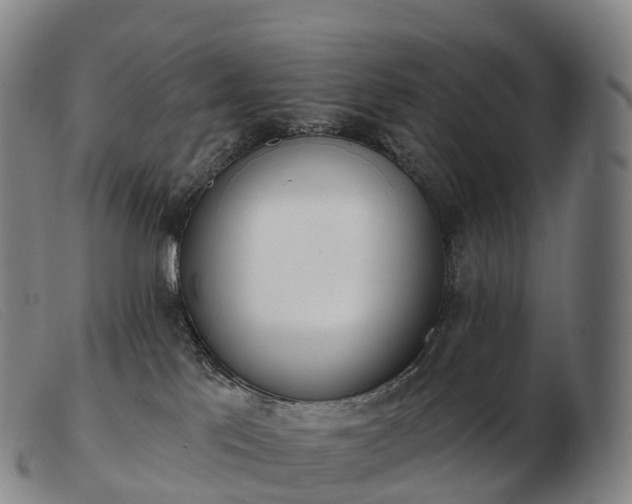 X0000103460041200809191822