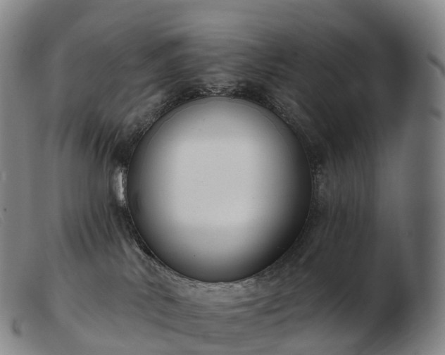 X0000103460042200809191822