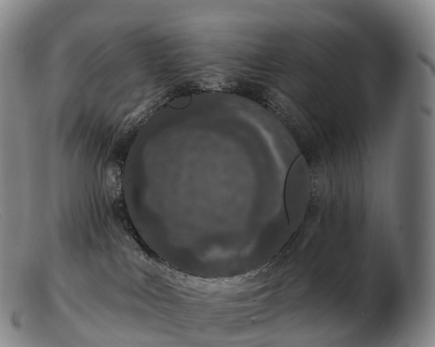 X0000103460043200809191822