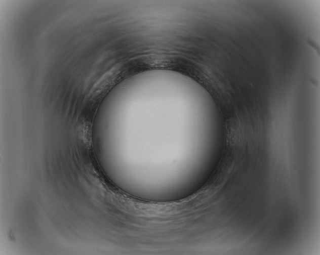 X0000103460044200809191822