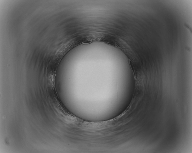 X0000103460045200809191822