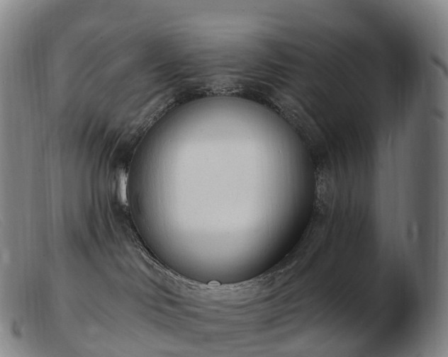 X0000103460046200809191822