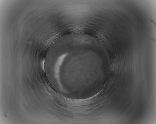 X0000103460047200809191822