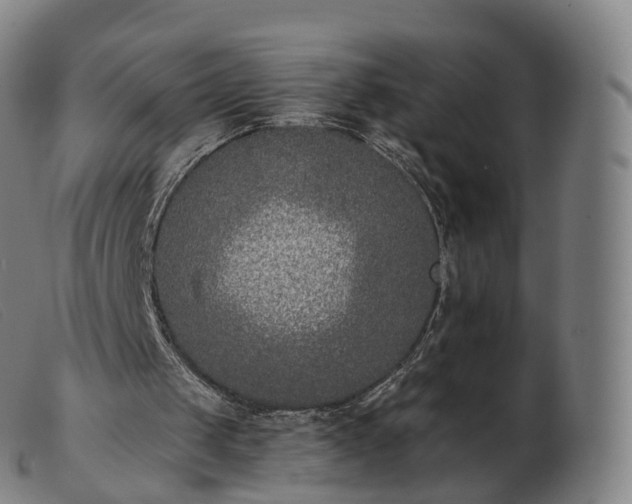 X0000103460049200809191821