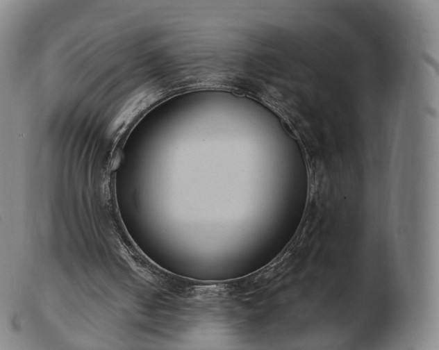 X0000103460050200809191821