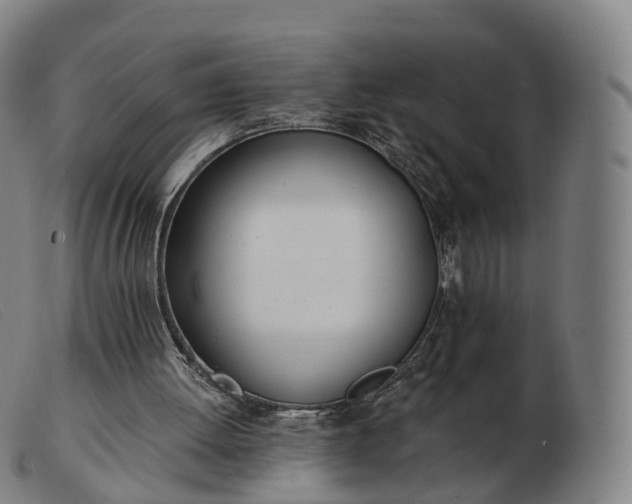 X0000103460052200809191821