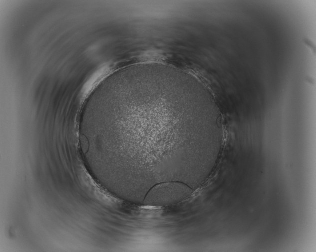 X0000103460053200809191821