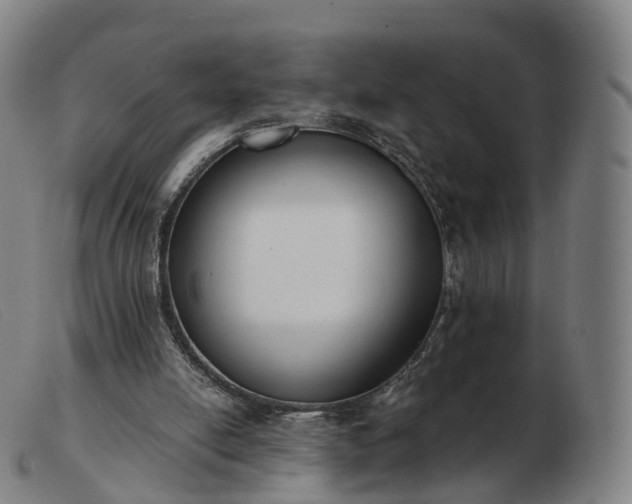 X0000103460054200809191821