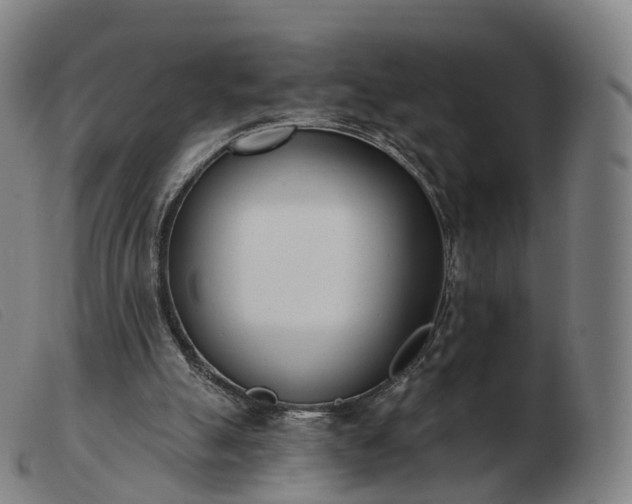 X0000103460055200809191821