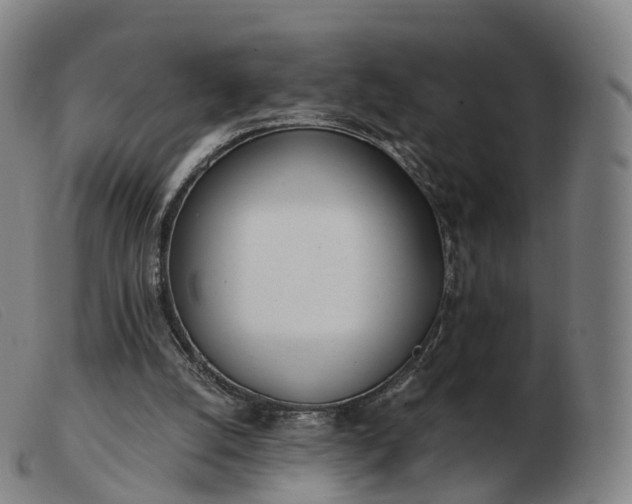 X0000103460056200809191821