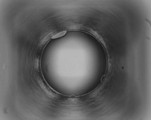 X0000103460057200809191821