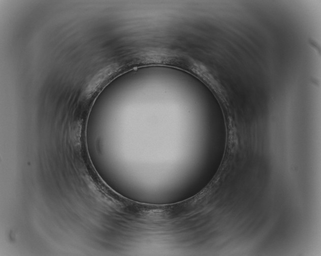 X0000103460058200809191821