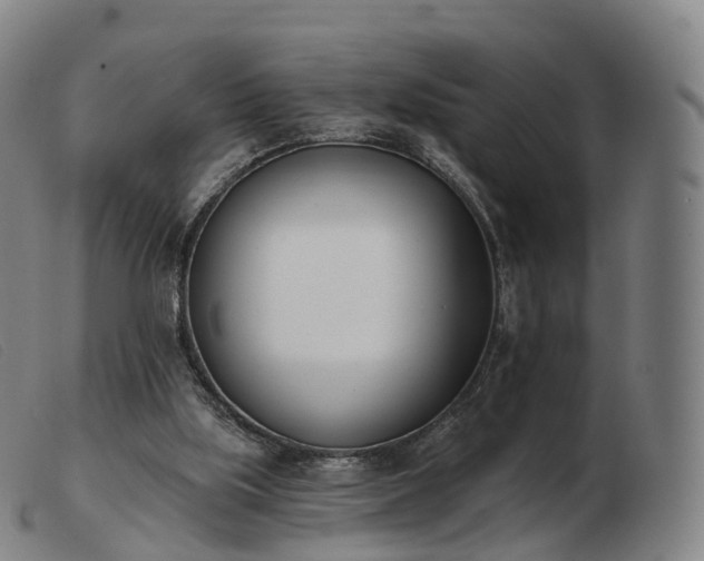 X0000103460059200809191821