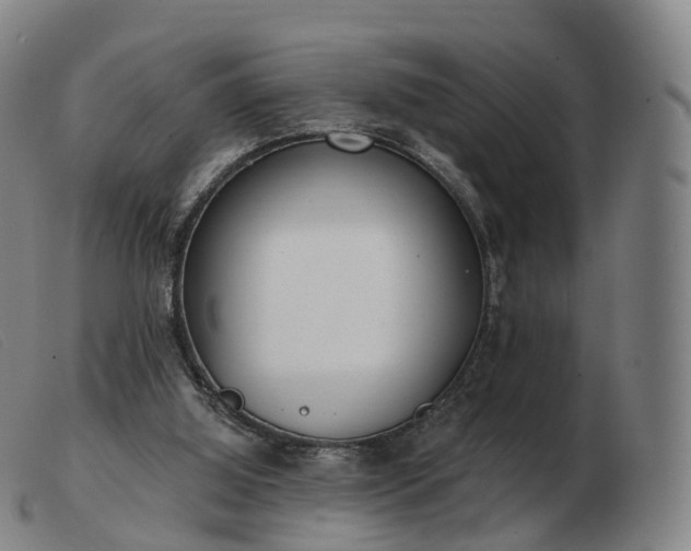 X0000103460060200809191821