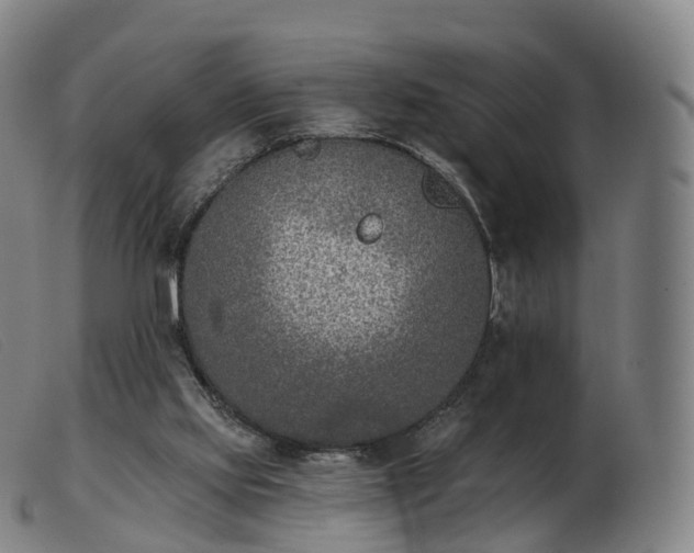 X0000103460061200809191821