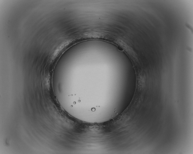 X0000103460064200809191821